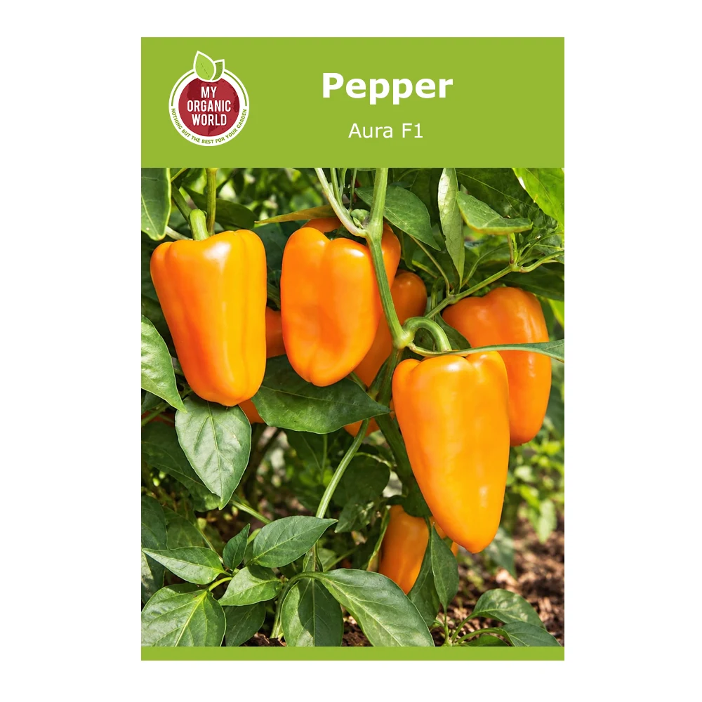 Aura F1 Pepper