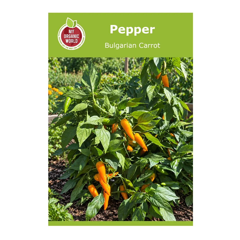 Bulgarian Carrot Pepper 1 Bulgarian Carrot Pepper