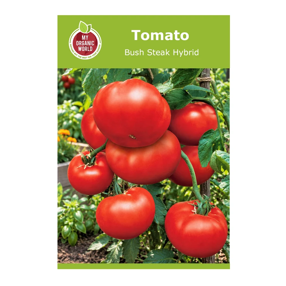 Bush Steak Hybrid Tomato 1 Bush Steak Hybrid Tomato