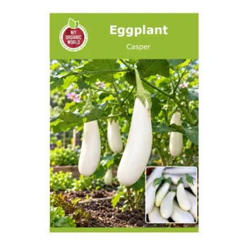 Casper Eggplant