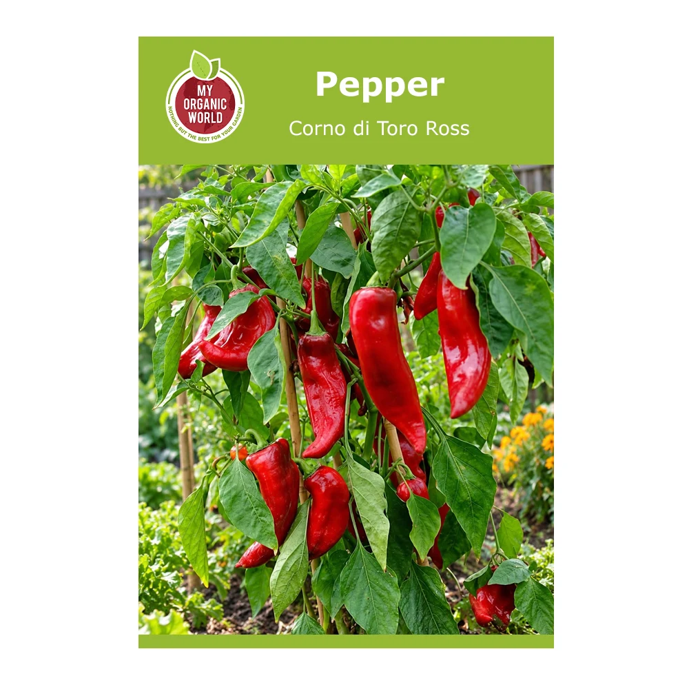 Corno di Toro Ross Pepper
