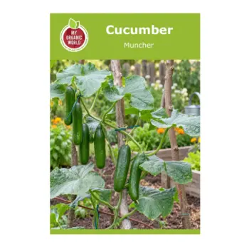 Cucumber Muncher