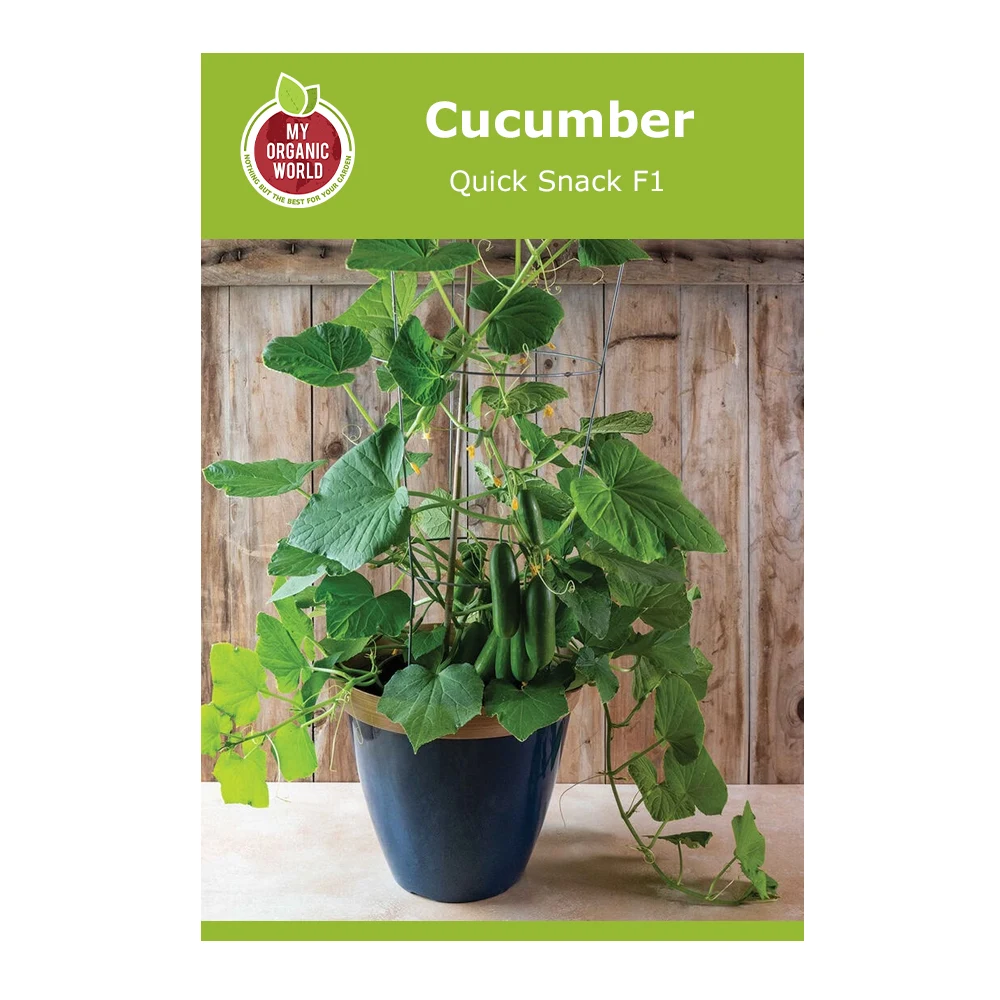 Cucumber Quick Snack F1