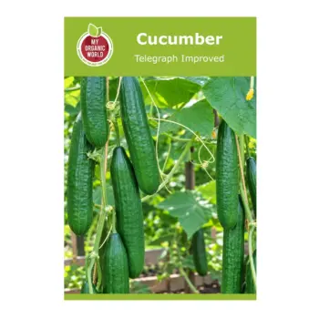 Cucumber Telegraph Improved