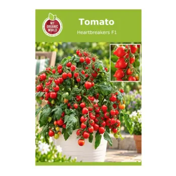 Heartbreakers F1 Tomato