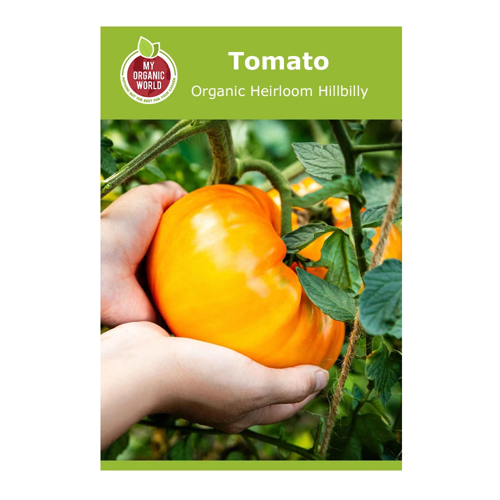 Organic Heirloom Hillbilly Tomato
