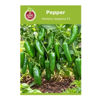 Pantera F1 Jalapeno Pepper