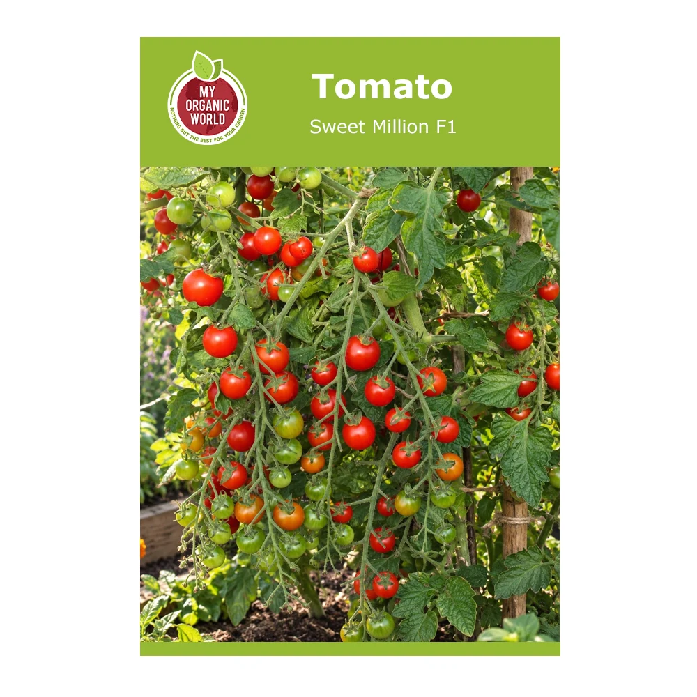 Sweet Million F1 Tomato