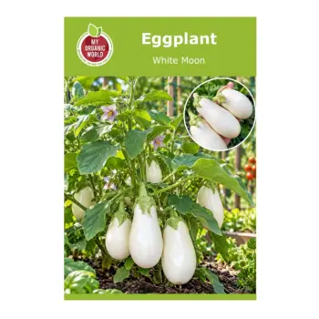 White Moon Eggplant