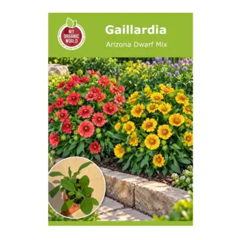 Gaillardia Arizona Dwarf Mix