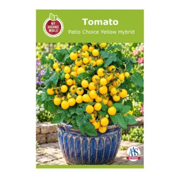 Patio Choice Yellow Hybrid Tomato