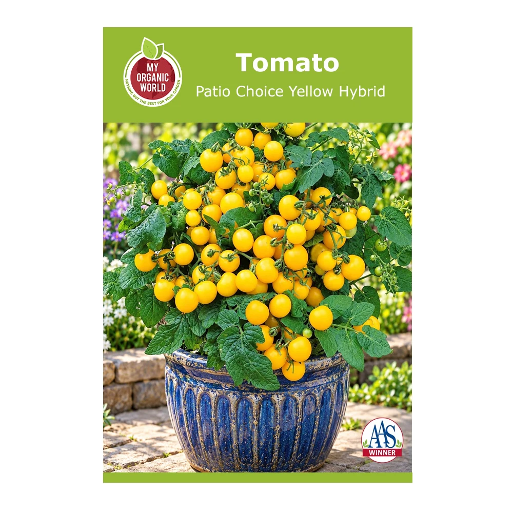 Patio Choice Yellow Hybrid Tomato