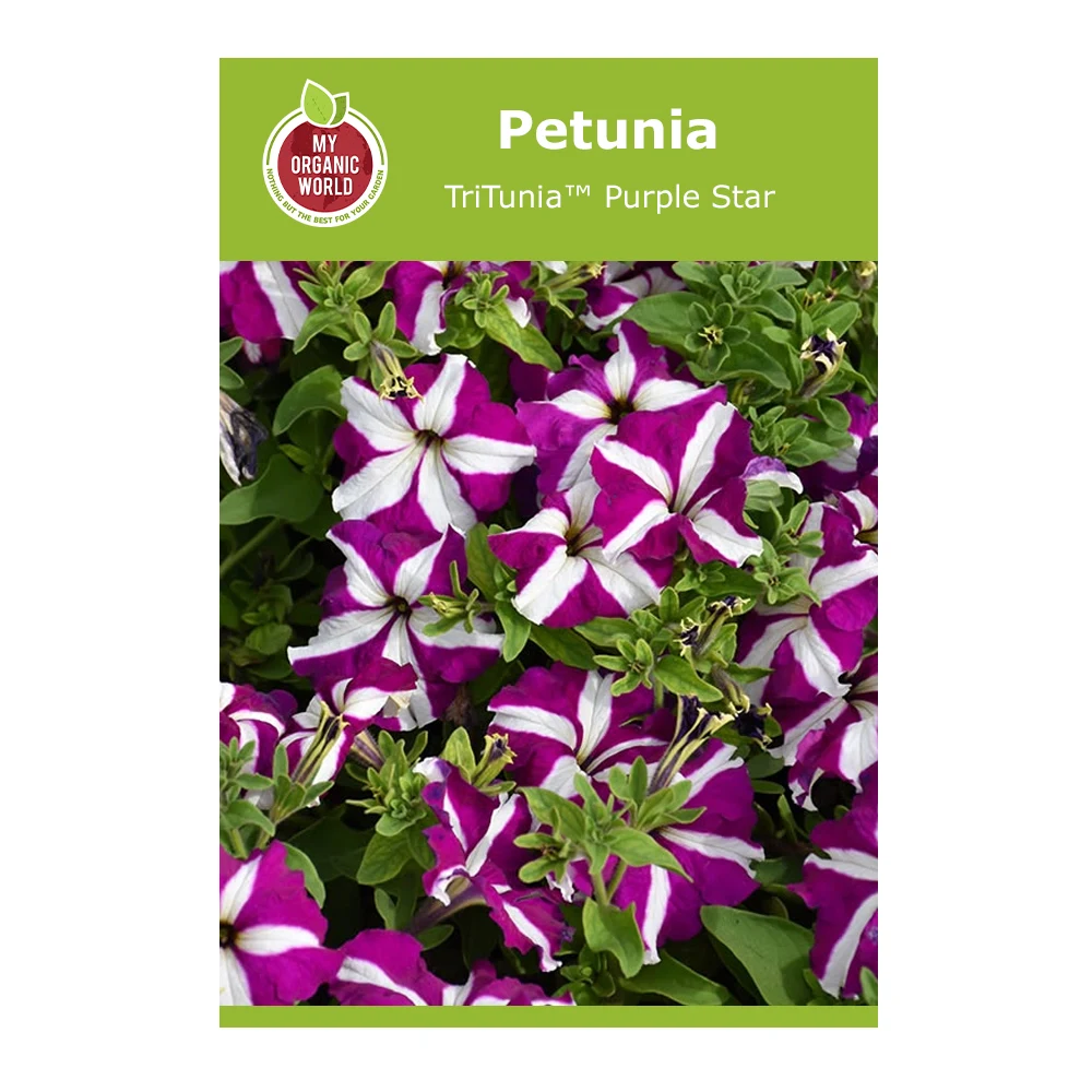 Petunia TriTunia™ Purple Star