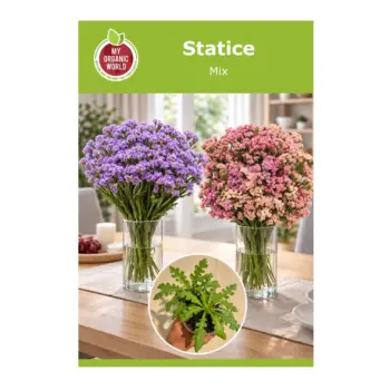 Statice Mix