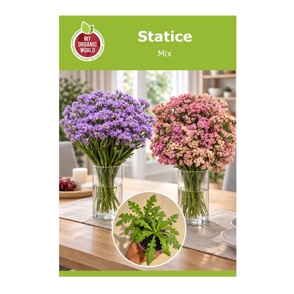 Statice Mix